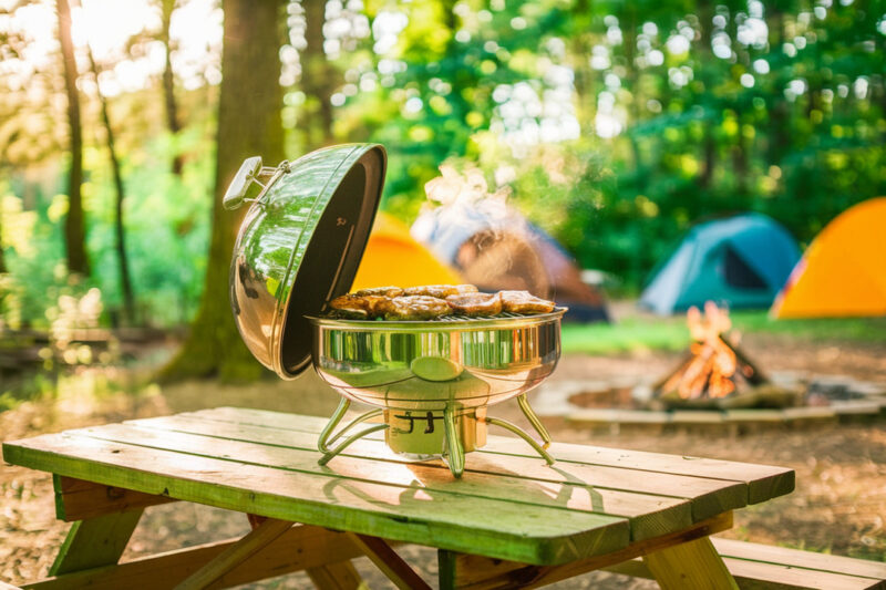 Best Propane Grills for Family Camping Trips